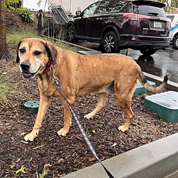 Photo of Molly