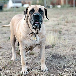 Photo of Nala