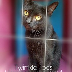 Photo of TWINKLE