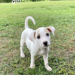 Photo of Monroe ka