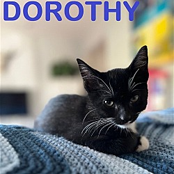 Thumbnail photo of DOROTHY & FASTIE  ~ brother & sister duo #1