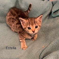 Photo of Estella