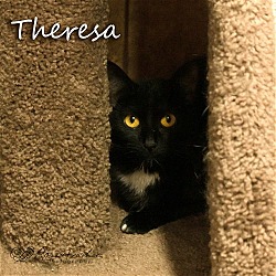 Photo of Theresa
