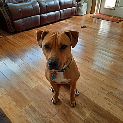 Photo of  Bailey