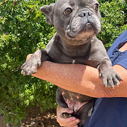 Photo of BlueBell