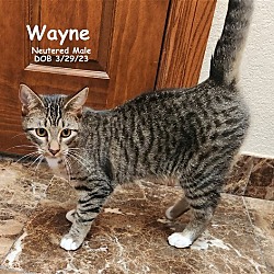 Photo of Wayne