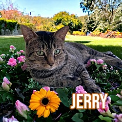 Photo of Jerry