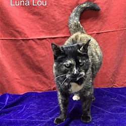 Photo of Luna Lou