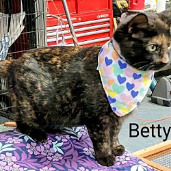 Thumbnail photo of Betty #4