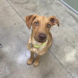 Photo of Paco