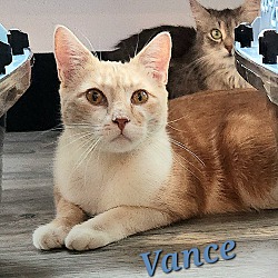 Thumbnail photo of Vance #1