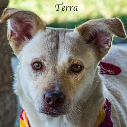 Photo of Terra