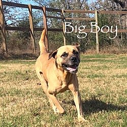 Photo of Big Boy
