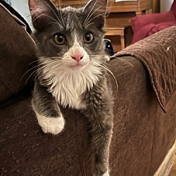 Photo of Theo [CP]