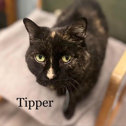 Thumbnail photo of Tipper 220727 #3