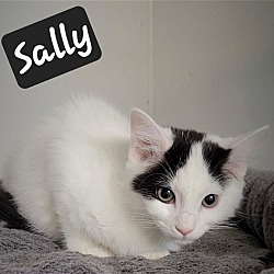 Photo of Sally