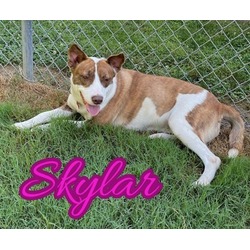Photo of Skylar