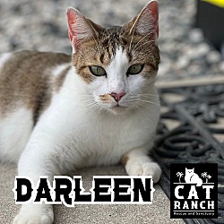 Photo of Darleen