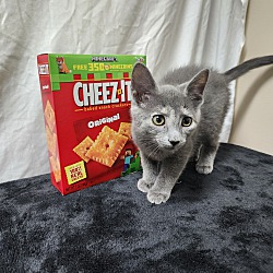 Thumbnail photo of Cheez It's #4