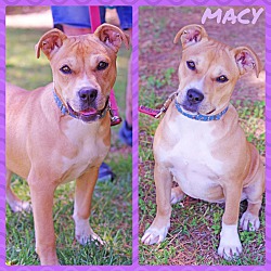 Thumbnail photo of Macy #2