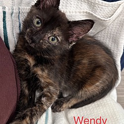 Thumbnail photo of Wendy #3