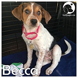 Thumbnail photo of Becca #1