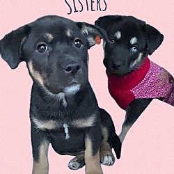 Photo of Sisters2