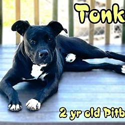 Thumbnail photo of Tonka #1