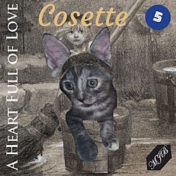 Thumbnail photo of Cosette #1