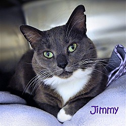 Thumbnail photo of Jimmy #3