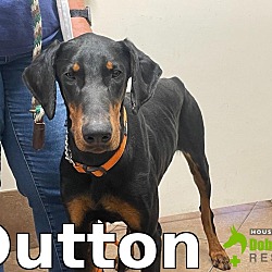 Photo of Dutton