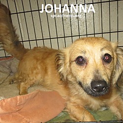 Thumbnail photo of Johanna #1
