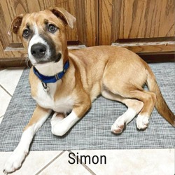 Photo of Simon