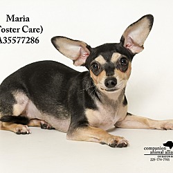Thumbnail photo of Maria  (Foster Care) #2