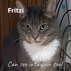 Photo of Fritzi