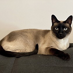 Photo of Fred