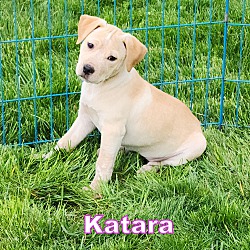 Photo of Katara