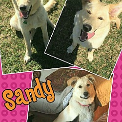 Thumbnail photo of Sandy in CT #1