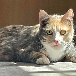 Photo of Sara