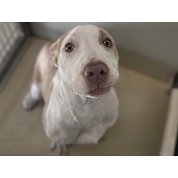 Photo of KIWI
