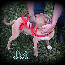 Thumbnail photo of Jet #4