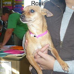 Thumbnail photo of Roxi #1