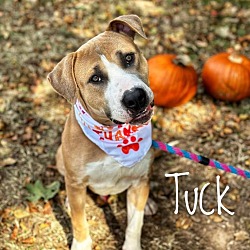 Photo of Tuck