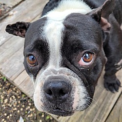 Photo of Rowsey