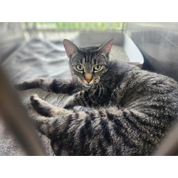 Photo of LUCY
