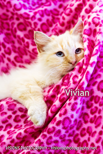 Photo of Vivian