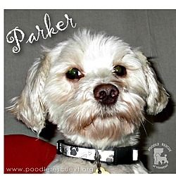 Thumbnail photo of Parker #1