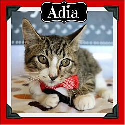 Thumbnail photo of Adia #1