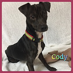 Thumbnail photo of Cody #1