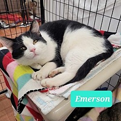 Photo of Emerson